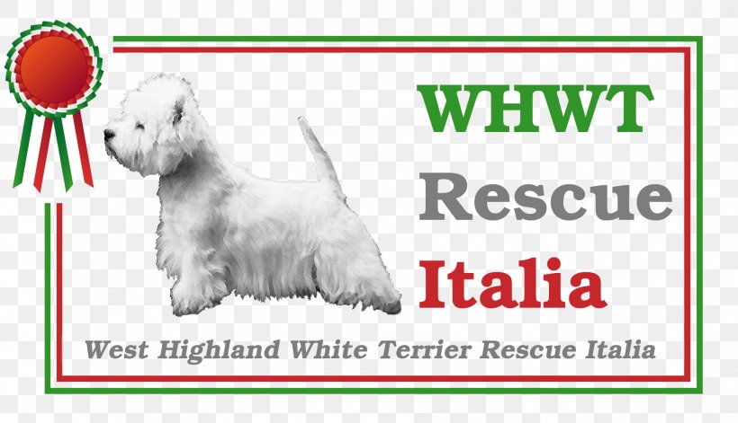 West Highland White Terrier Dog Breed Parson Russell Terrier Jack Russell Terrier Puppy, PNG, 1800x1035px, West Highland White Terrier, Area, Brand, Breed, Carnivoran Download Free