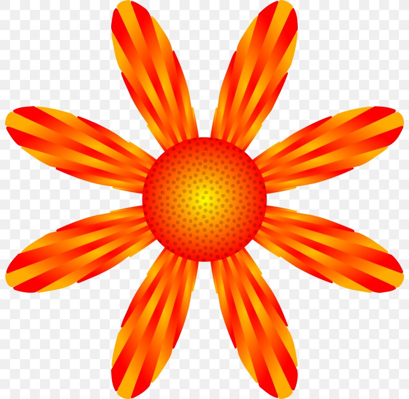 Clip Art, PNG, 800x800px, Art, Cut Flowers, Daisy, Daisy Family, Drawing Download Free