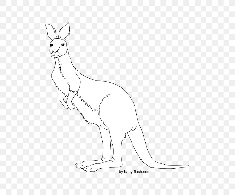 Kangaroo Red Fox Macropodidae Hare Animal, PNG, 567x680px, Kangaroo, Animal, Animal Figure, Artwork, Black And White Download Free