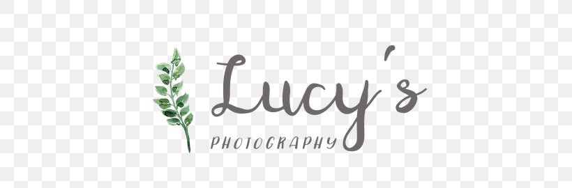 Lucy's Photography Photographer Printing Canvas Print, PNG, 600x270px, Photography, Brand, Calligraphy, Canvas, Canvas Print Download Free