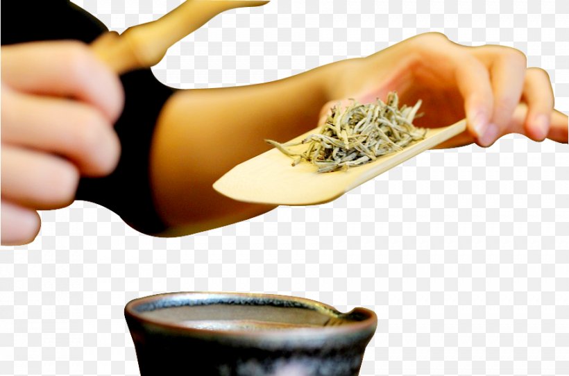 Teaware Japanese Tea Ceremony, PNG, 902x597px, Tea, Chinese Tea Ceremony, Cuisine, Designer, Finger Download Free