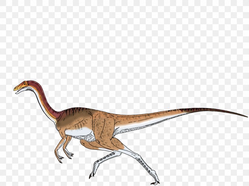 ARK: Survival Evolved Gallimimus Velociraptor Tyrannosaurus Dilophosaurus, PNG, 1024x767px, Ark Survival Evolved, Animal Figure, Apatosaurus, Dilophosaurus, Dinosaur Download Free