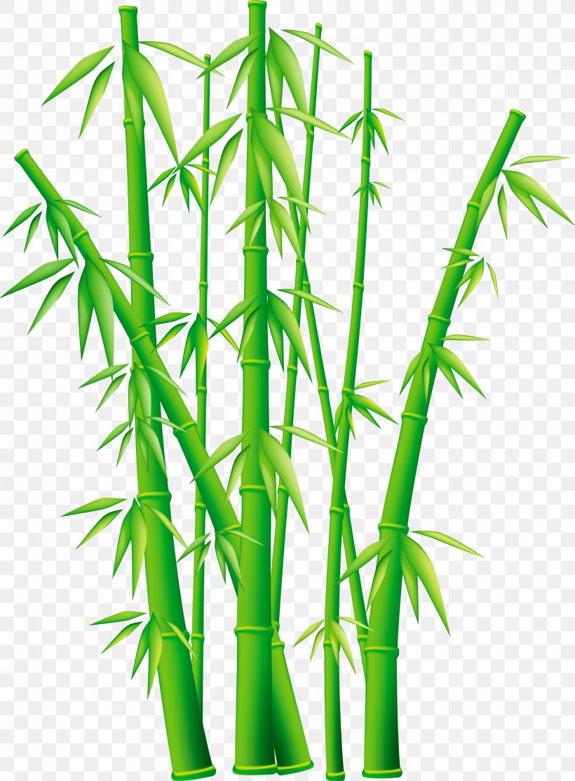 Bamboo Clip Art, PNG, 2250x3057px, Bamboo, Bamboo Textile, Flowerpot, Grass, Grass Family Download Free