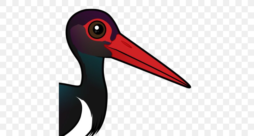 Beak Bird Ibis Black Stork, PNG, 440x440px, Beak, Bird, Black Stork, Chilean Flamingo, Crane Like Bird Download Free