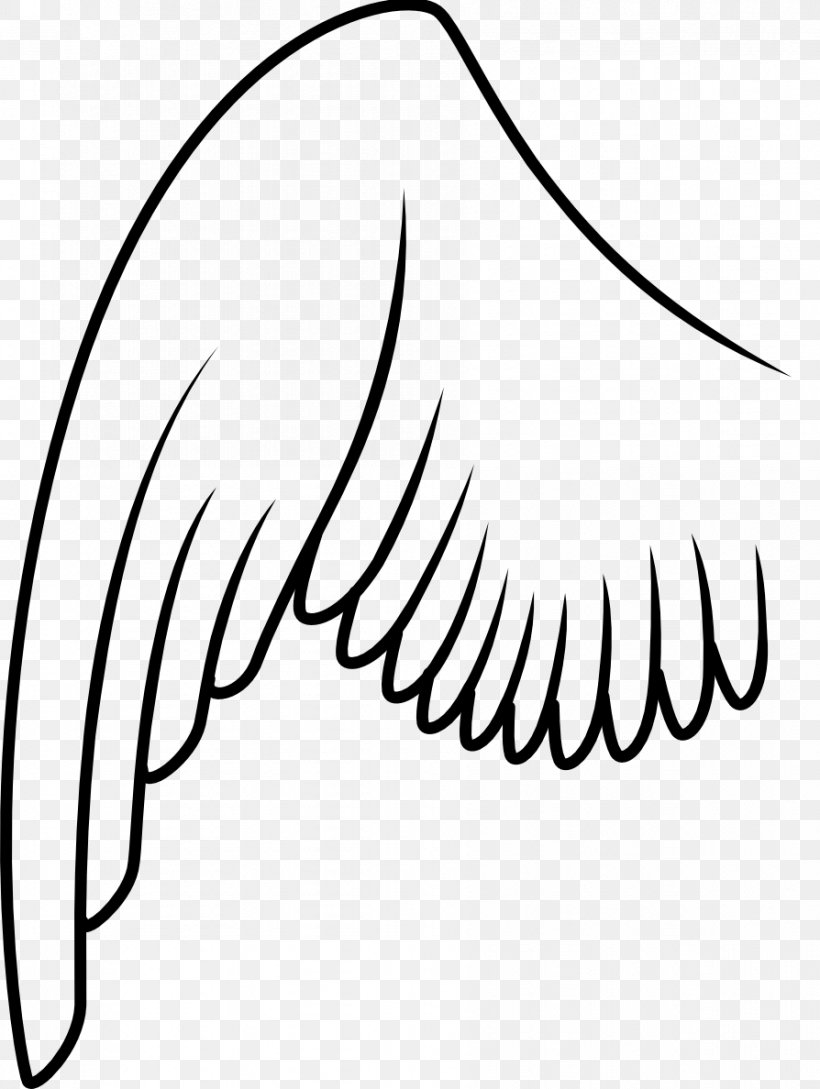 Bird Wing Columbidae Clip Art, PNG, 894x1188px, Watercolor, Cartoon, Flower, Frame, Heart Download Free