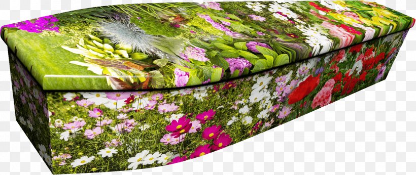 Colourful Coffins Funeral Floral Design Keyword Tool, PNG, 1429x603px, Colourful Coffins, Coffin, Com, Flora, Floral Design Download Free