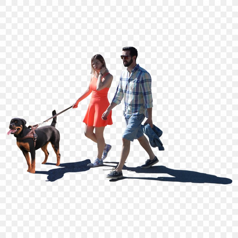 Dog Walking Leash Obedience Training Human Behavior, PNG, 1100x1100px, Dog, Behavior, Dog Like Mammal, Dog Walking, Homo Sapiens Download Free