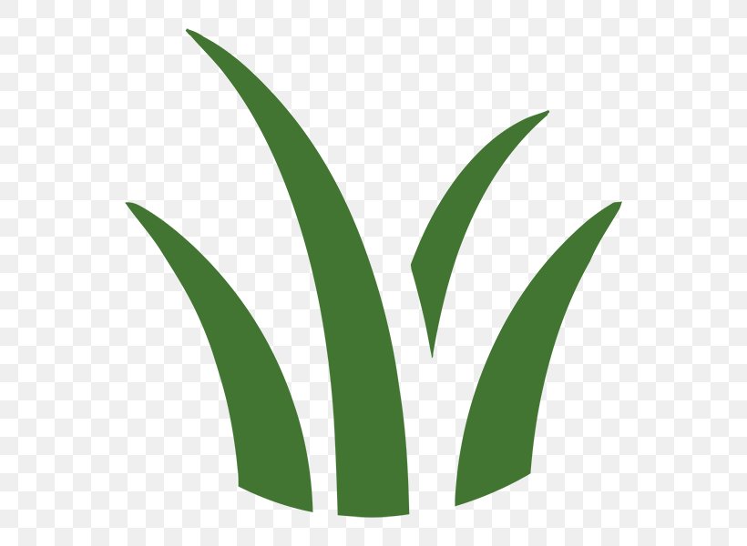 Leaf Logo Grasses Plant Stem Font, PNG, 600x600px, Leaf, Family, Grass, Grass Family, Grasses Download Free