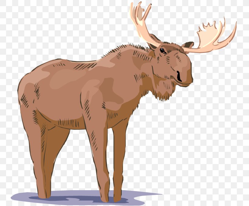 Moose Free Content Royalty-free Clip Art, PNG, 750x678px, Moose, Antler, Birthday Moose, Blog, Cartoon Download Free