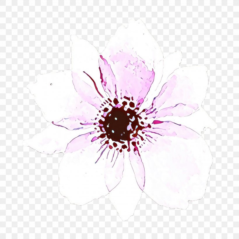 Pink Flower Cartoon, PNG, 3000x3000px, Floral Design, African Daisy, Anemone, Computer, Drawing Download Free