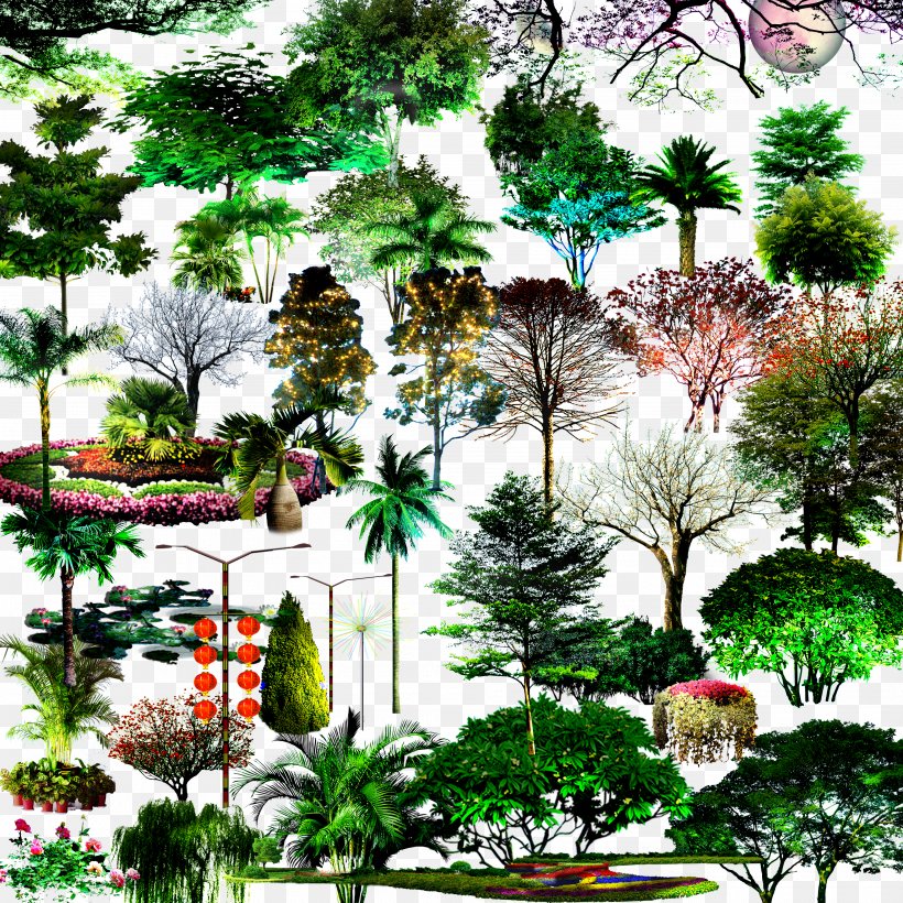 Tree, PNG, 3800x3800px, Tree, Arecaceae, Art, Concepteur, Evergreen Download Free