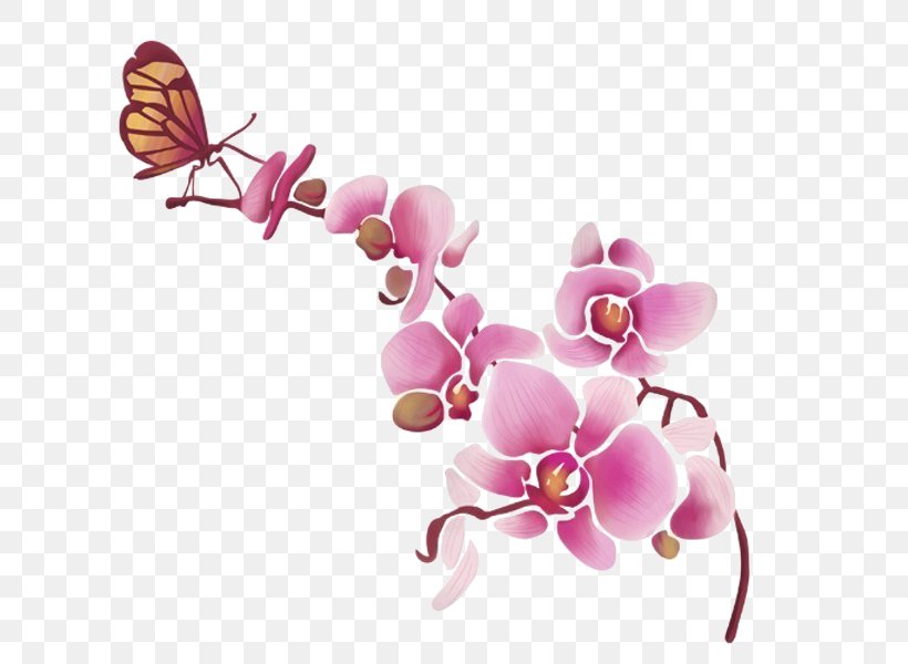 Wall Decal Orchids Lepidoptera Furniture, PNG, 765x600px, Wall Decal, Branch, Butterfly, Cut Flowers, Decal Download Free