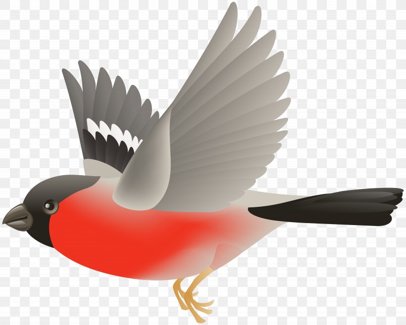 Bird Flight Clip Art, PNG, 8000x6411px, Bird, Beak, Bird Flight, Blog, Feather Download Free