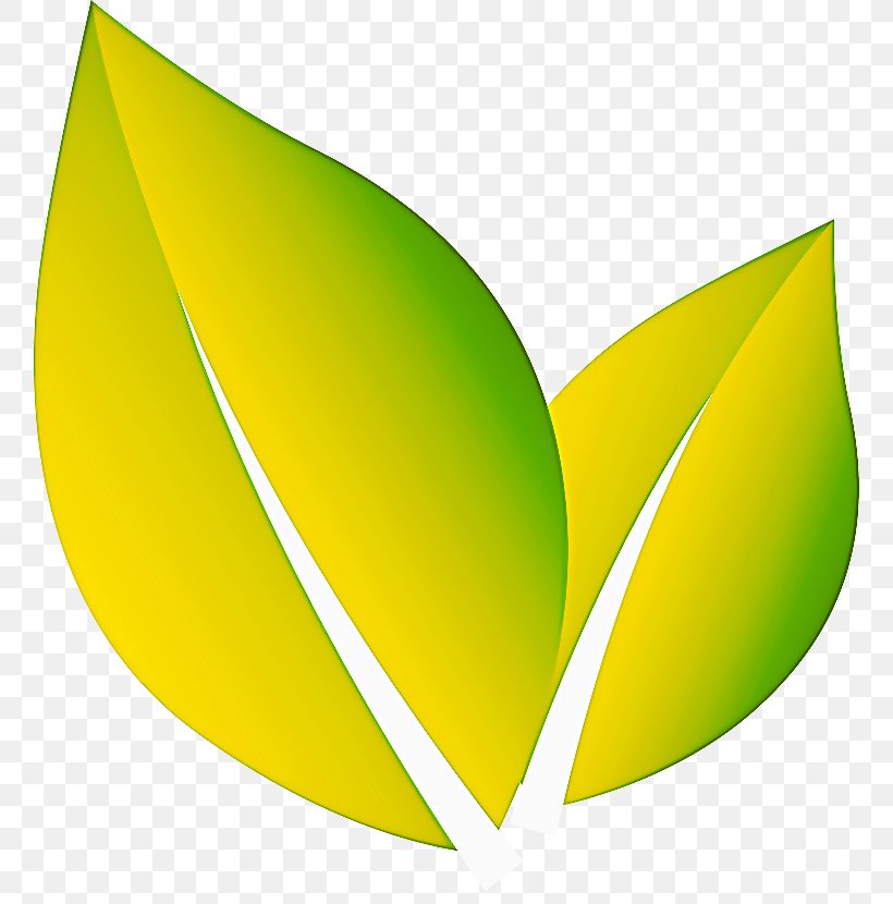 Leaf Yellow Green Logo Clip Art, PNG, 779x830px, Leaf, Green, Logo, Plant, Yellow Download Free
