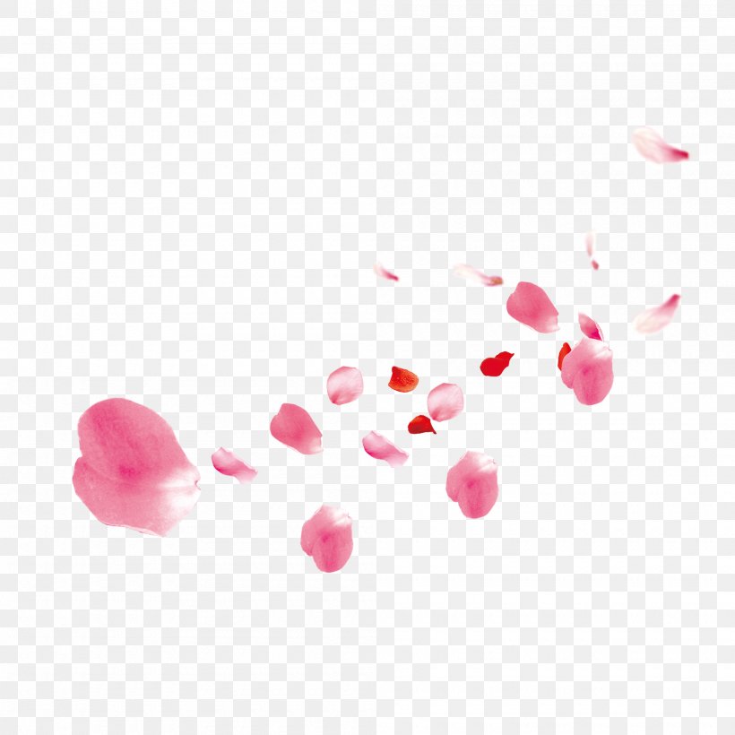 Petal Flower Image, PNG, 2000x2000px, Petal, Drawing, Flower, Heart, Magenta Download Free