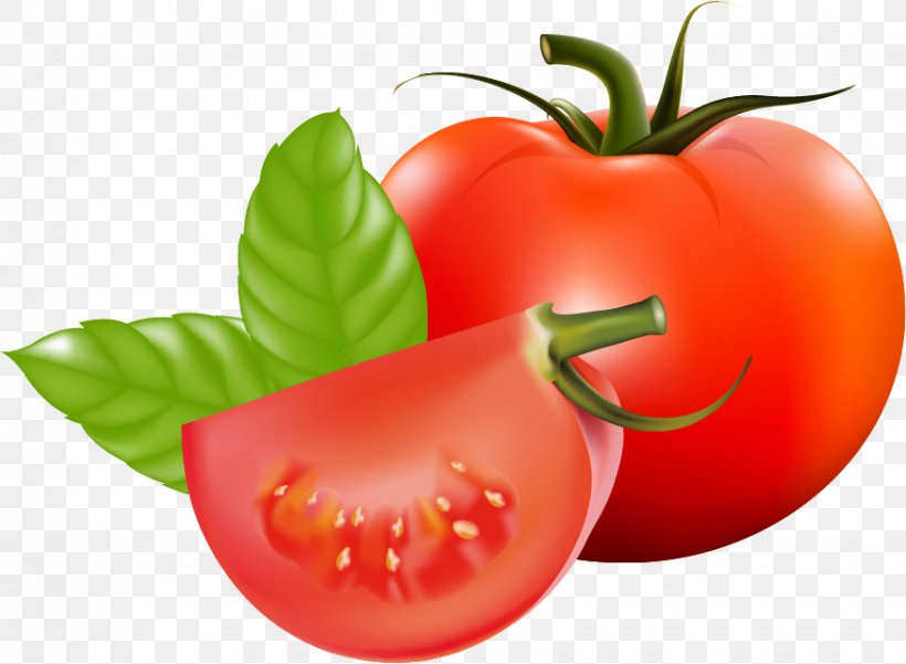 Plum Tomato Cherry Tomato Bush Tomato Vegetable Fruit, PNG, 875x642px, Plum Tomato, Bell Peppers And Chili Peppers, Bush Tomato, Cherry Tomato, Diet Food Download Free