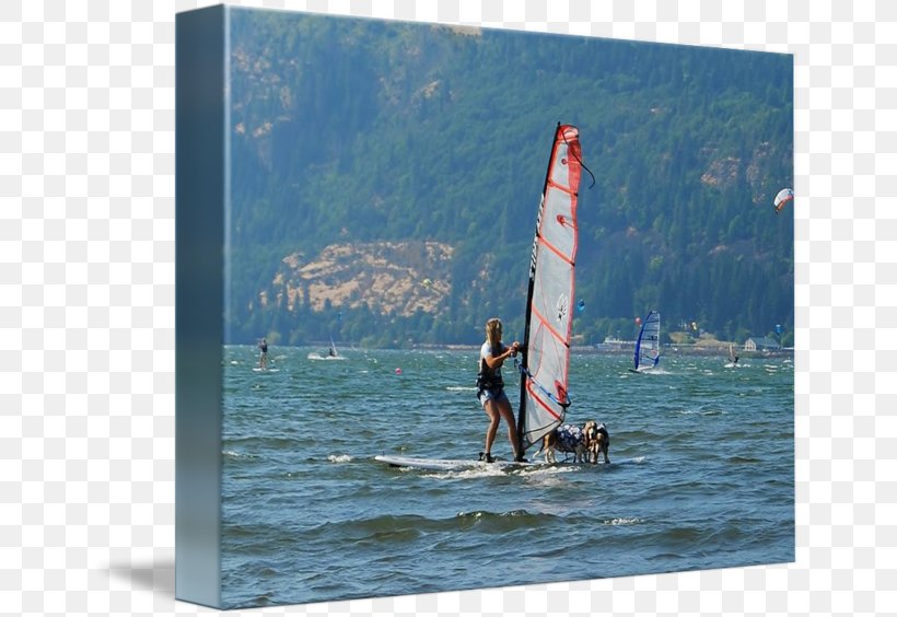 Windsurfing Surfboard Sail Leisure Vacation, PNG, 650x564px, Windsurfing, Boardsport, Inlet, Leisure, Recreation Download Free