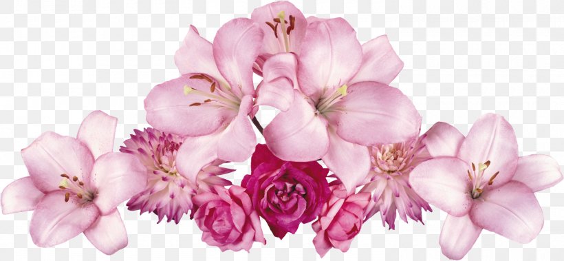 Border Flowers Clip Art, PNG, 1500x694px, Flower, Blossom, Border Flowers, Branch, Cherry Blossom Download Free