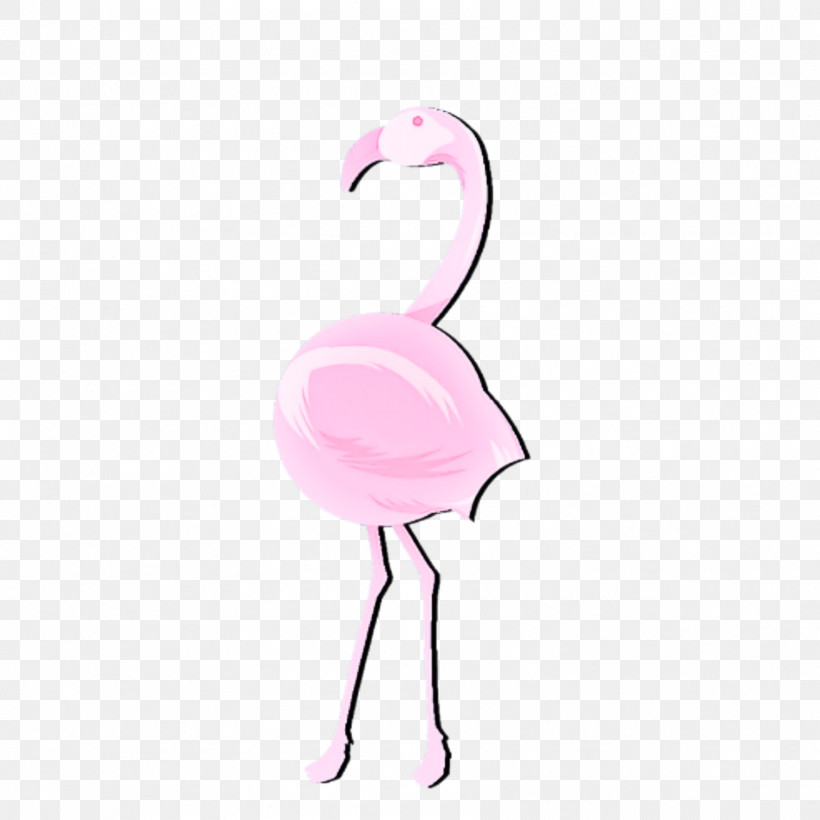 Flamingo, PNG, 1773x1773px, Flamingo, Beak, Bird, Feather, Greater Flamingo Download Free
