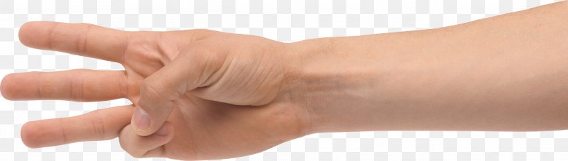 Hand Finger, PNG, 2597x739px, Finger, Arm, Digit, Forearm, Forelimb Download Free
