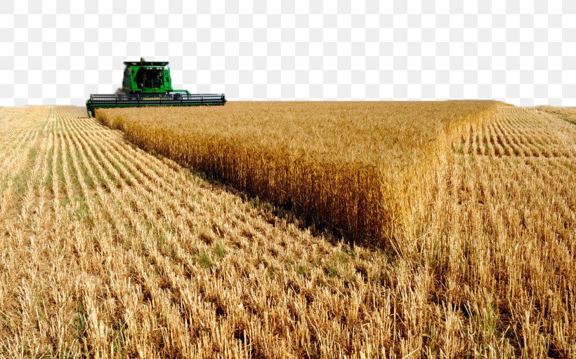 Saudi Arabia United States Agriculture Business Wheat, PNG, 820x512px, Saudi Arabia, Agriculture, Business, Cereal, Combine Harvester Download Free