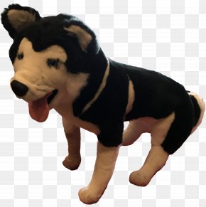 Dog - Dog Breed Canine CPR & First Aid Puppy Cardiopulmonary Resuscitation PNG