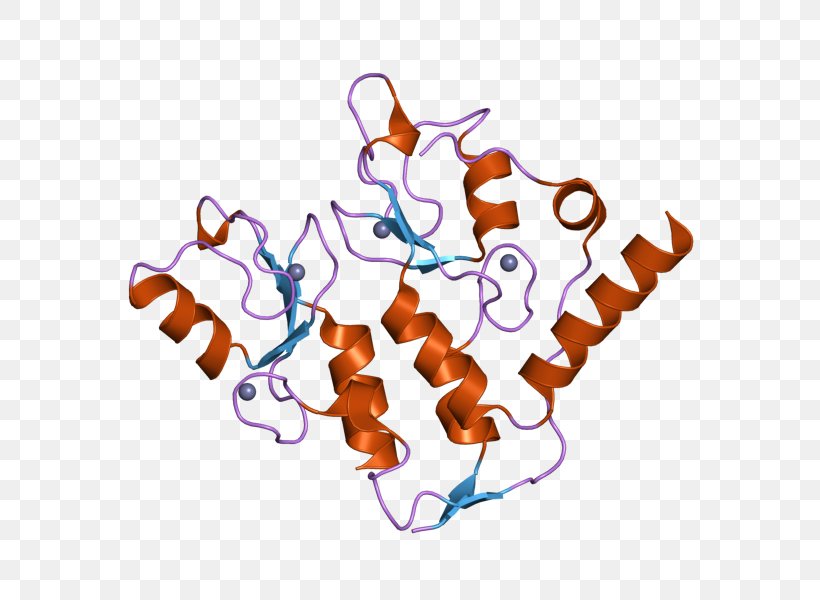 European Bioinformatics Institute Protein Clip Art Gene, PNG, 800x600px, Bioinformatics, Chemistry, Drawing, European Bioinformatics Institute, Finger Download Free