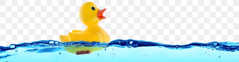 Rubber Duck Stock Photography Bathtub Toy, PNG, 1920x501px, Duck, Bathtub, Beak, Bird, Child Download Free