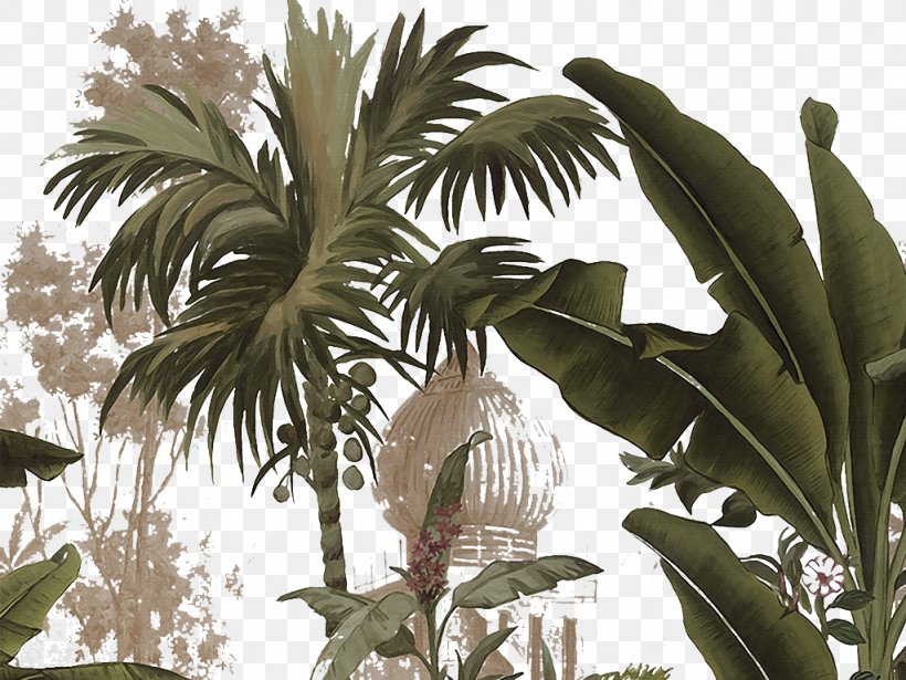 Yanoda Arecaceae Tropics Plant, PNG, 1024x768px, Plant, Arecaceae, Arecales, Drawing, Flora Download Free