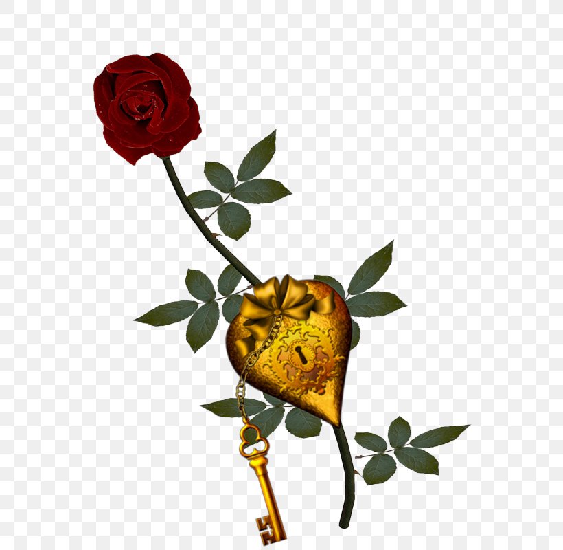 Garden Roses Flower Centifolia Roses, PNG, 566x800px, Garden Roses, Centifolia Roses, Cut Flowers, Flora, Floral Design Download Free