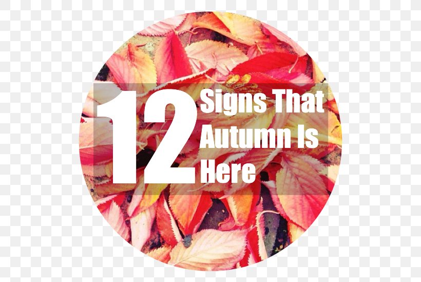 Autumn Is Here! Signage Child Blog, PNG, 550x549px, Autumn, Autumn Is Here, Autumn Leaves, Blog, Child Download Free