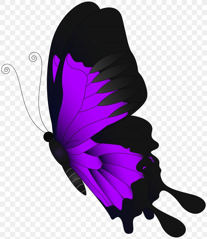Butterfly Chroma Key, PNG, 4323x5000px, Butterfly, Blue, Butterflies And Moths, Color, Feather Download Free