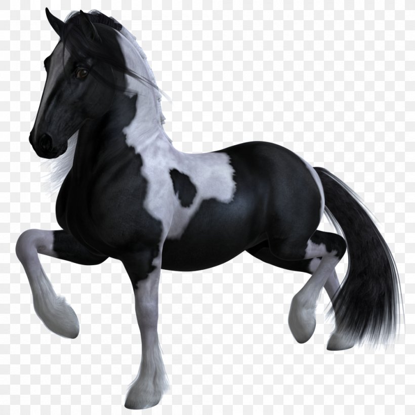Stallion Mustang Mare Halter Rein, PNG, 1000x1000px, Stallion, Animal Figure, Black And White, Bridle, Halter Download Free