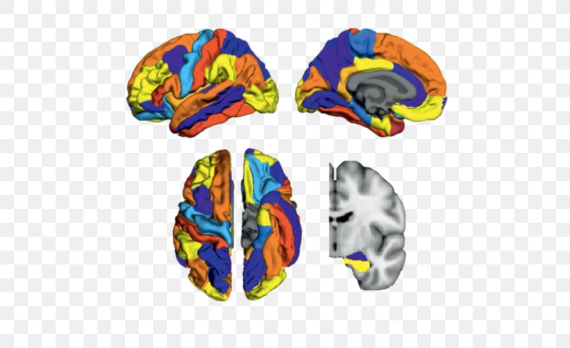 Amyloid Brain Soft Matter Alzheimer's Disease, PNG, 500x500px, Amyloid, Brain, Cerebral Cortex, Computer Network, Cortex Download Free
