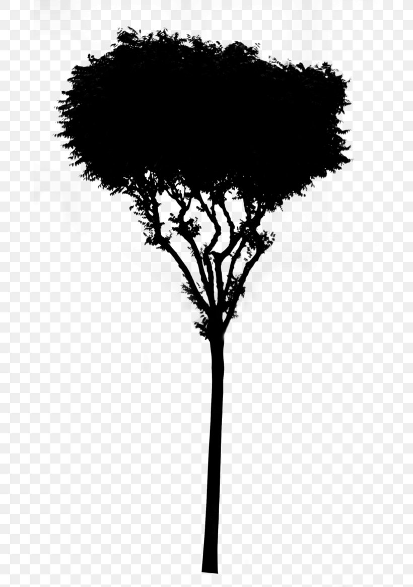 Asian Palmyra Palm Leaf Silhouette Branching Borassus, PNG, 686x1165px, Asian Palmyra Palm, Arecales, Blackandwhite, Borassus, Botany Download Free