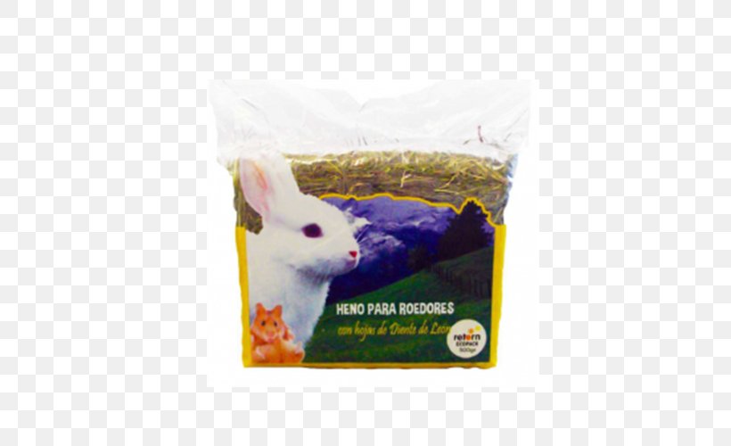Clinica Veterinaria El Guirre Guinea Pig Rabbit Animal Pet, PNG, 500x500px, Guinea Pig, Animal, Animal Husbandry, Clinic, Dieting Download Free