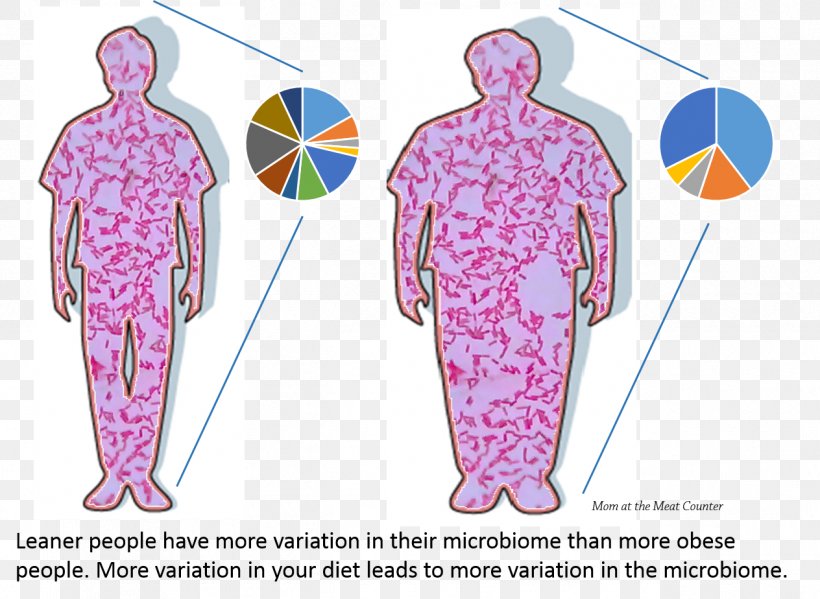 Human Microbiome Project Microbiota Gut Flora Obesity Bacteria, PNG, 1264x924px, Watercolor, Cartoon, Flower, Frame, Heart Download Free