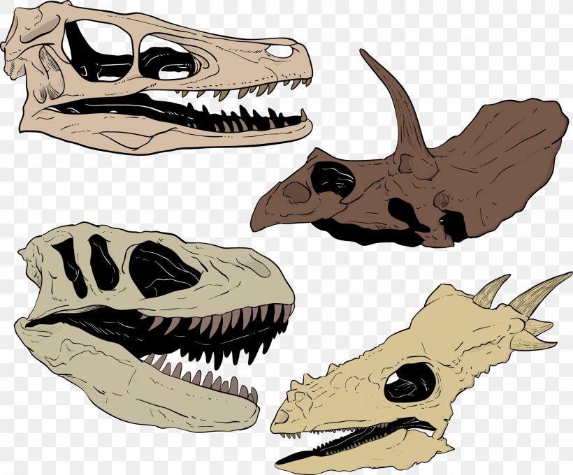 Skull Dinosaur Euclidean Vector Adobe Illustrator, PNG, 2108x1750px, Skull, Bone, Dinosaur, Drawing, Fauna Download Free