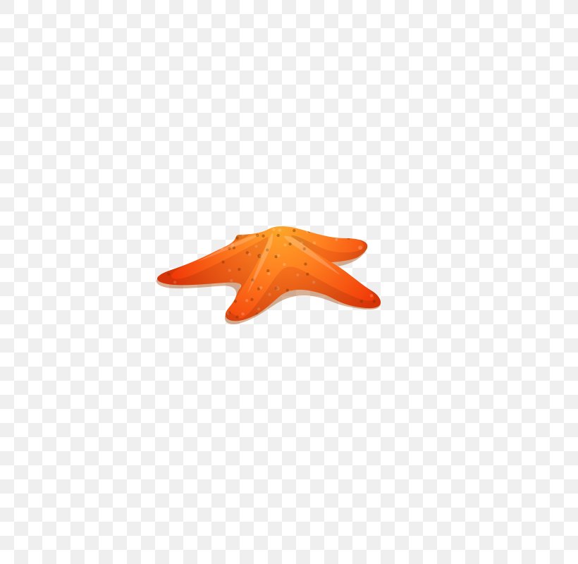 Computer Wallpaper, PNG, 800x800px, Computer, Orange, Triangle, Wing Download Free