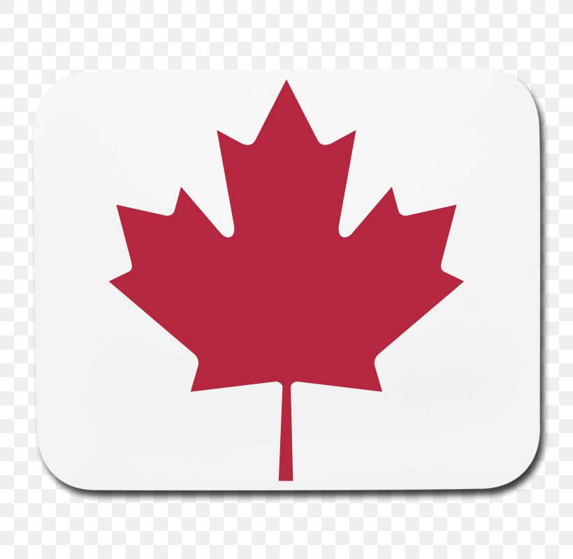 Flag Of Canada Maple Leaf National Flag, PNG, 800x800px, Canada, Canada Day, Flag, Flag Of Canada, Flowering Plant Download Free