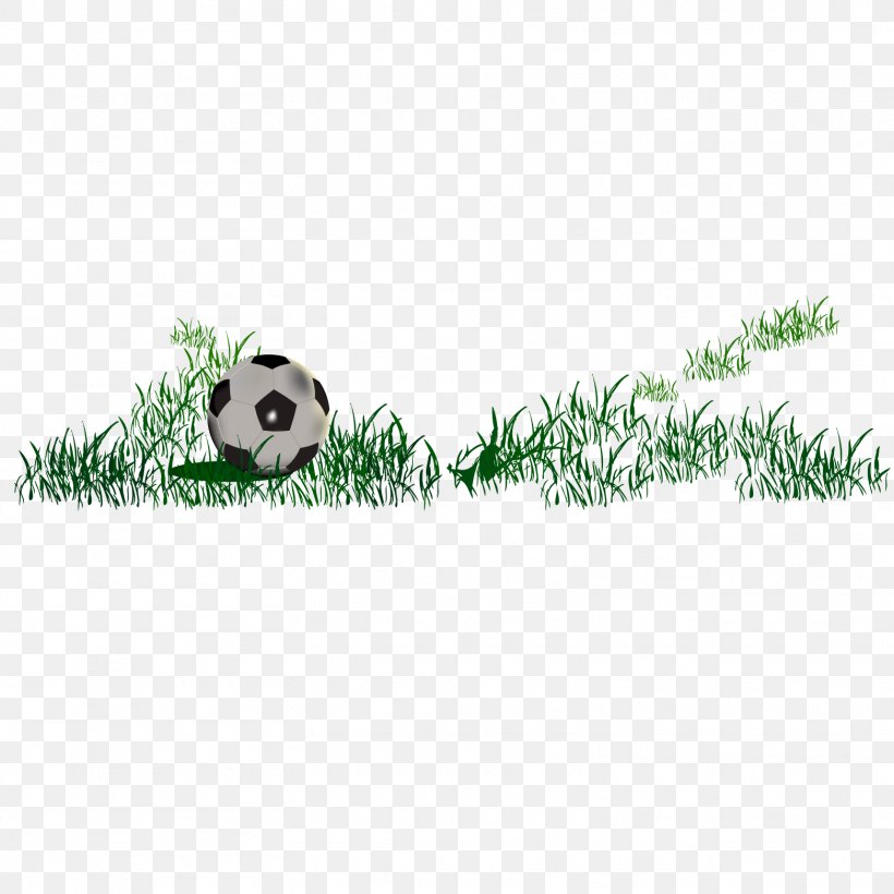 Football, PNG, 1563x1563px, Football, Area, Artworks, Grass, Green Download Free