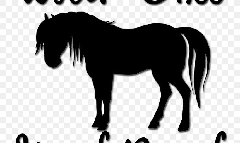 Horse Pony Silhouette Foal Equestrian, PNG, 800x490px, Horse, Black And White, Bridle, Colt, Dressage Download Free