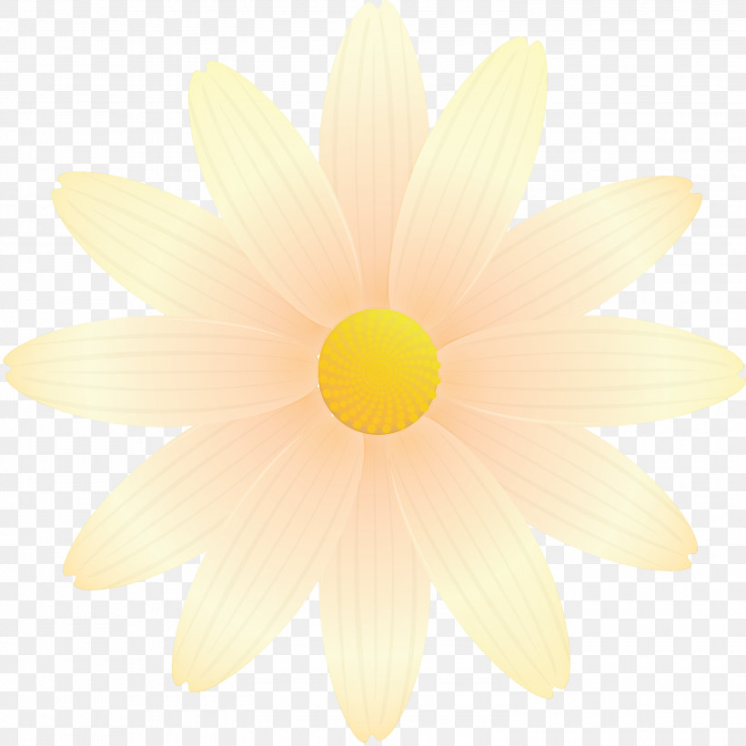Marguerite Flower Spring Flower, PNG, 3000x3000px, Marguerite Flower, Camomile, Chamomile, Daisy, Daisy Family Download Free
