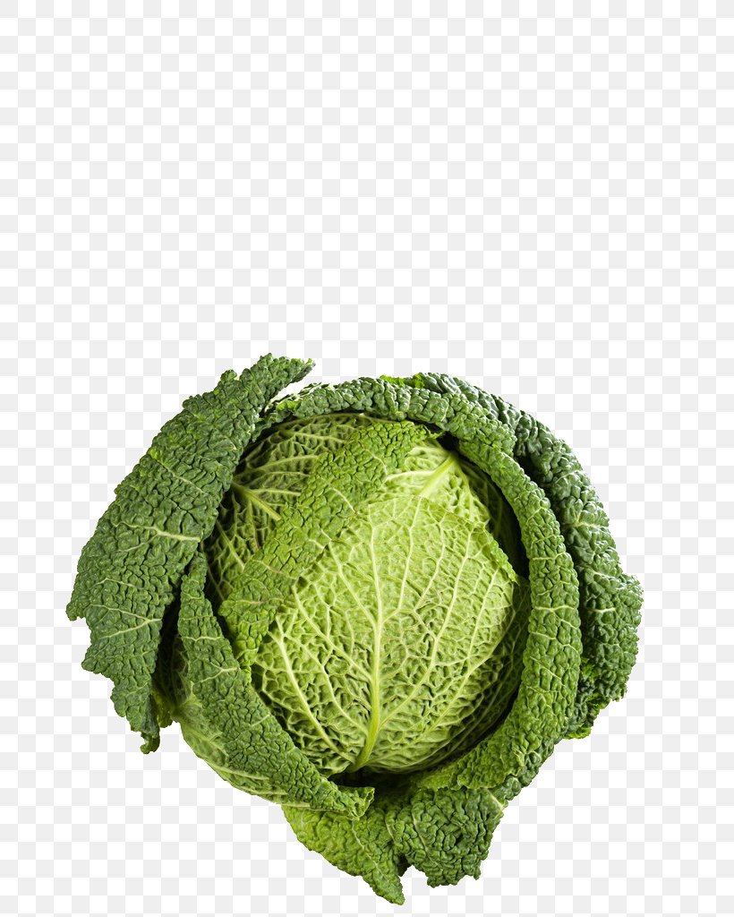 Savoy Cabbage Congee Vegetable Broccoli, PNG, 683x1024px, Cabbage, Beijing Cuisine, Collard Greens, Congee, Food Download Free