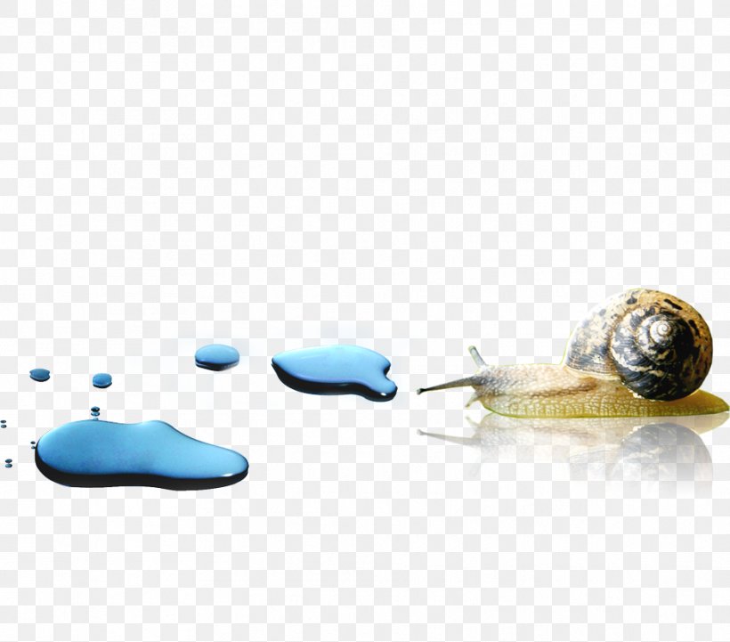 Snail Orthogastropoda Escargot, PNG, 938x825px, Snail, Animal, Escargot, Floor, Flooring Download Free