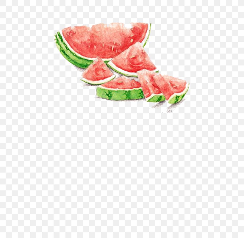 Watermelon Watercolor Painting Drawing Seedless Fruit, PNG, 480x800px, Watermelon, Art, Art Museum, Citrullus, Cucumber Gourd And Melon Family Download Free