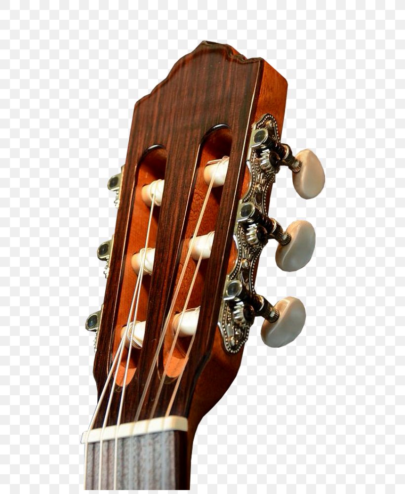 Acoustic Guitar Almansa Classical Guitar Acoustic-electric Guitar, PNG, 726x1000px, Acoustic Guitar, Acoustic Electric Guitar, Acousticelectric Guitar, Cavaquinho, Cedar Download Free