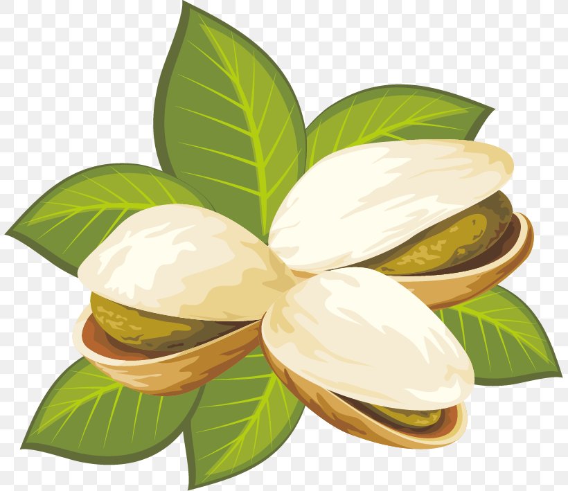 Pistachio Royalty-free Nut Clip Art, PNG, 807x709px, Pistachio, Dried Fruit, Flavor, Food, Leaf Download Free