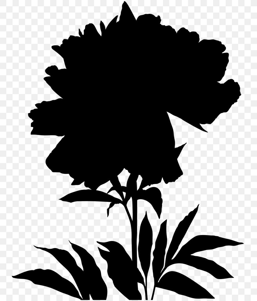 Leaf Clip Art Plant Stem Silhouette Flowering Plant, PNG, 768x960px, Leaf, Black, Black M, Blackandwhite, Botany Download Free