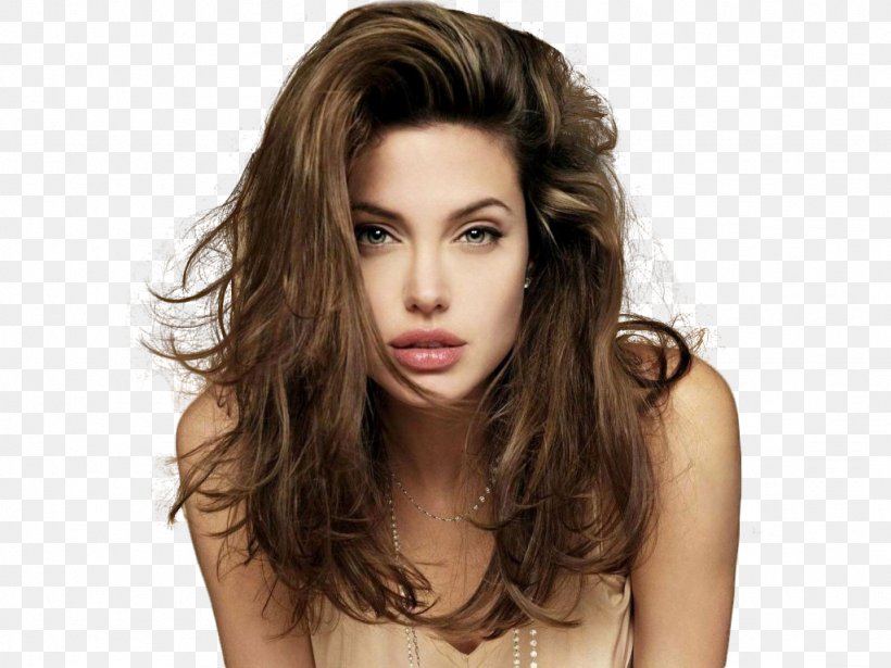 Angelina Jolie Celebrity Film Director Actor, PNG, 1024x768px, Watercolor, Cartoon, Flower, Frame, Heart Download Free